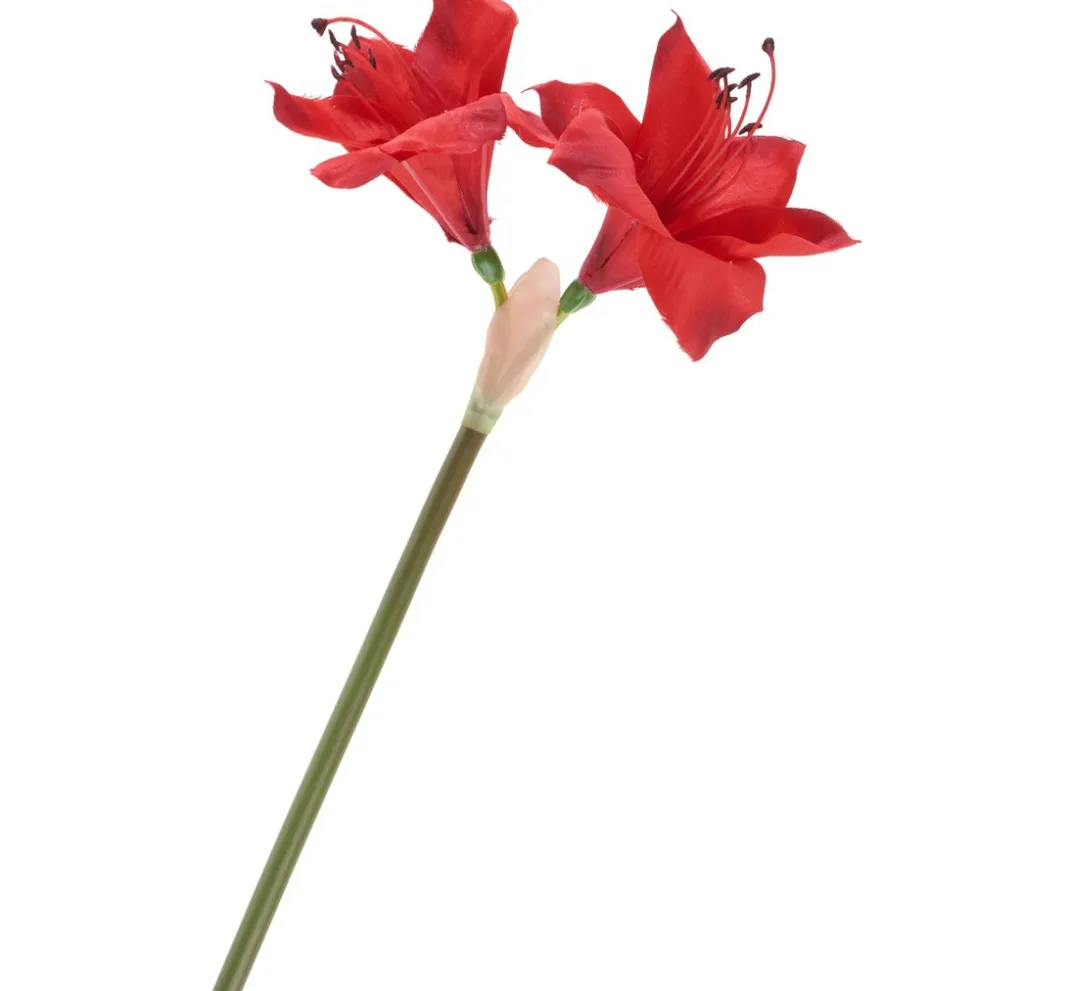 DPI Blumen>Amaryllis, L 37 cm
