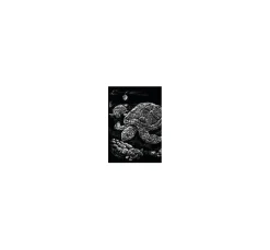 Kinder Royal Langnickel Malsets|Malen Nach Zahlen><noscript><img width=
