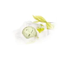 CREARTEC Naturkosmetik|Seifen><noscript><img width=