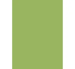 Rico Design Tonpapier & Fotokarton|Farb- & Motivblöcke><noscript><img width=