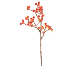 DPI Gräser & Beeren>Beeren Pick, Orange