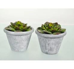 Viva Decor Strukturpasten|Effektfarbe><noscript><img width=