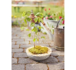 Viva Decor Gießmasse><noscript><img width=