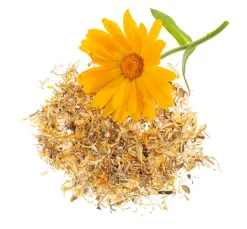 GLOREX Seifen-Design|Naturkosmetik>Blüten, getrocknet
