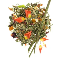GLOREX Seifen-Design|Naturkosmetik><noscript><img width=