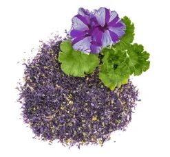 GLOREX Seifen-Design|Naturkosmetik><noscript><img width=