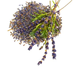 GLOREX Seifen-Design|Naturkosmetik><noscript><img width=