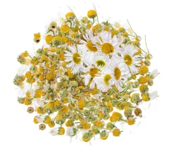 GLOREX Seifen-Design|Naturkosmetik><noscript><img width=