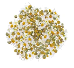 GLOREX Seifen-Design|Naturkosmetik><noscript><img width=