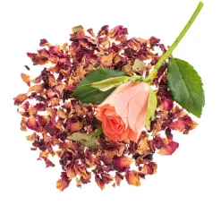 GLOREX Seifen-Design|Naturkosmetik><noscript><img width=