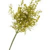 DPI Blumen>Blüten-Pick mit Grün