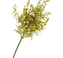 DPI Blumen>Blüten-Pick mit Grün
