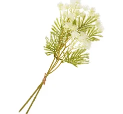 DPI Blumen>Blütenstand-Zweig