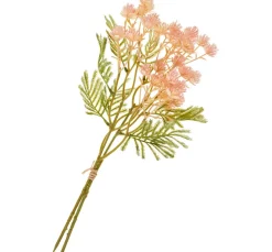 DPI Blumen><noscript><img width=