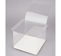 HobbyFun Schachteln & Boxen|Schachteln>Box für Geld- und Gutscheingeschenke, Transparent