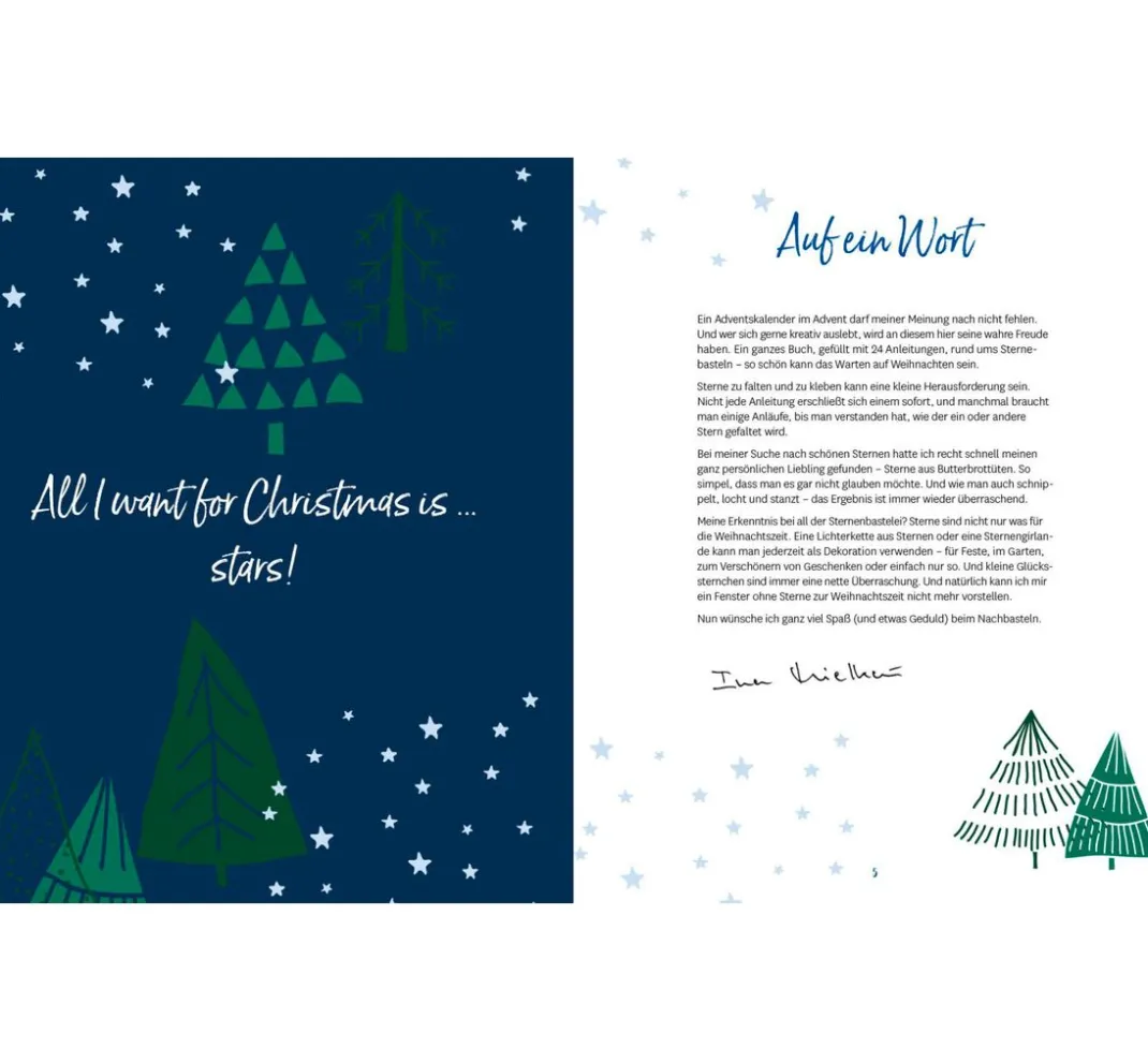 EMF Bücher|Origami & Papier Falten>Buch "Adventskalender Weihnachtssterne"