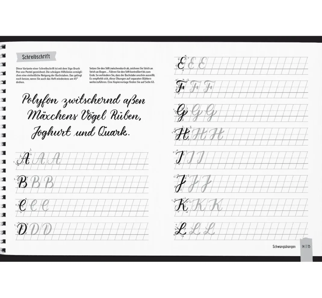 Topp Bücher>Buch "Handlettering All you need. Das Übungsbuch"