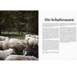 Stiebner Strickanleitungen><noscript><img width=