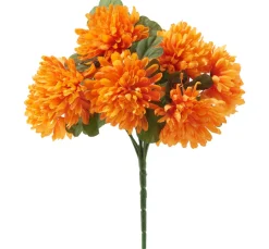DPI Blumen>Chrysanthemen Bund "Lola"