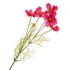 DPI Blumen|Bäume & Zweige>Cosmea Zweig mit 5 Blüten