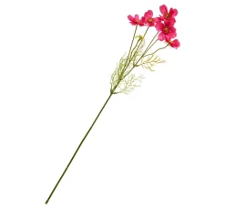 DPI Blumen|Bäume & Zweige>Cosmea Zweig mit 5 Blüten