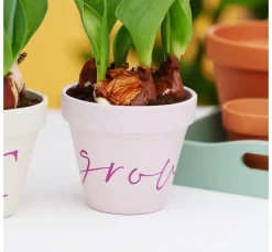 Cricut Plotten|Plotter><noscript><img width=