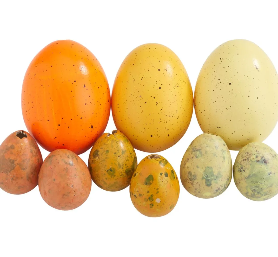 ohne Marke Naturmaterialien>Deko Eier-Mix