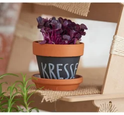 Pronty Crafts Brandmalerei|Holz, Mdf & Pappmaché><noscript><img width=
