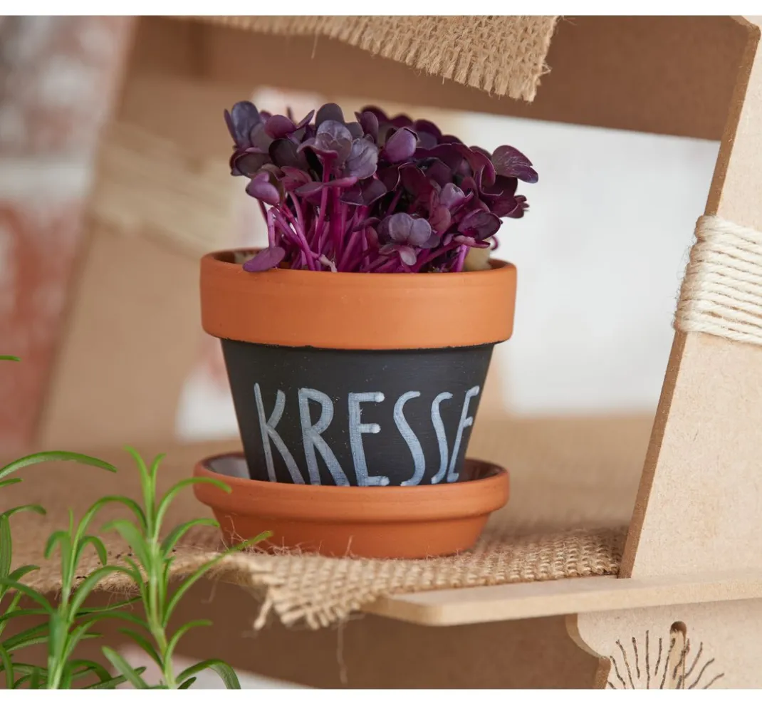 Pronty Crafts Brandmalerei|Holz, Mdf & Pappmaché>Deko- Pflanzentreppe