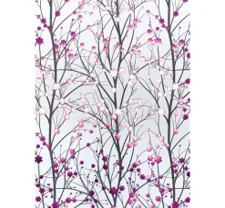 folia Spezialpapier & -Karton|Farb- & Motivblöcke><noscript><img width=
