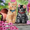 Craft Buddy Diamond Painting>Diamond Painting "Crystal Art Card"