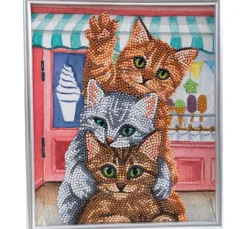 Craft Buddy Diamond Painting>Diamond Painting "Picture Frame Crystal Art"