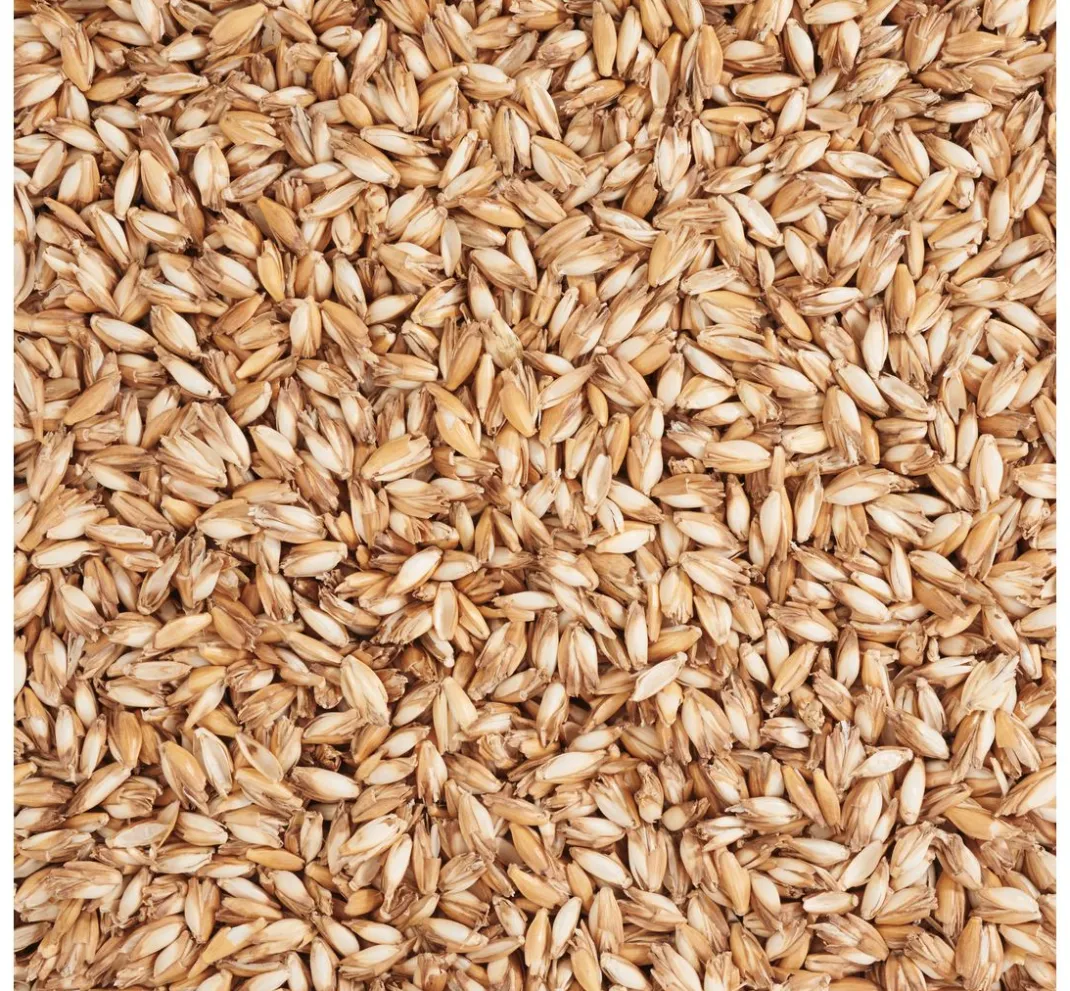 ohne Marke Füllmaterial>Dinkelspreu 250g