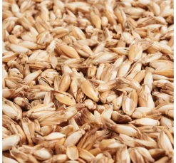 ohne Marke Füllmaterial>Dinkelspreu 250g