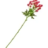 DPI Blumen|Bäume & Zweige>Distel Zweig