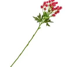 DPI Blumen|Bäume & Zweige>Distel Zweig