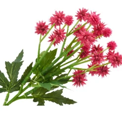 DPI Blumen|Bäume & Zweige>Distel Zweig
