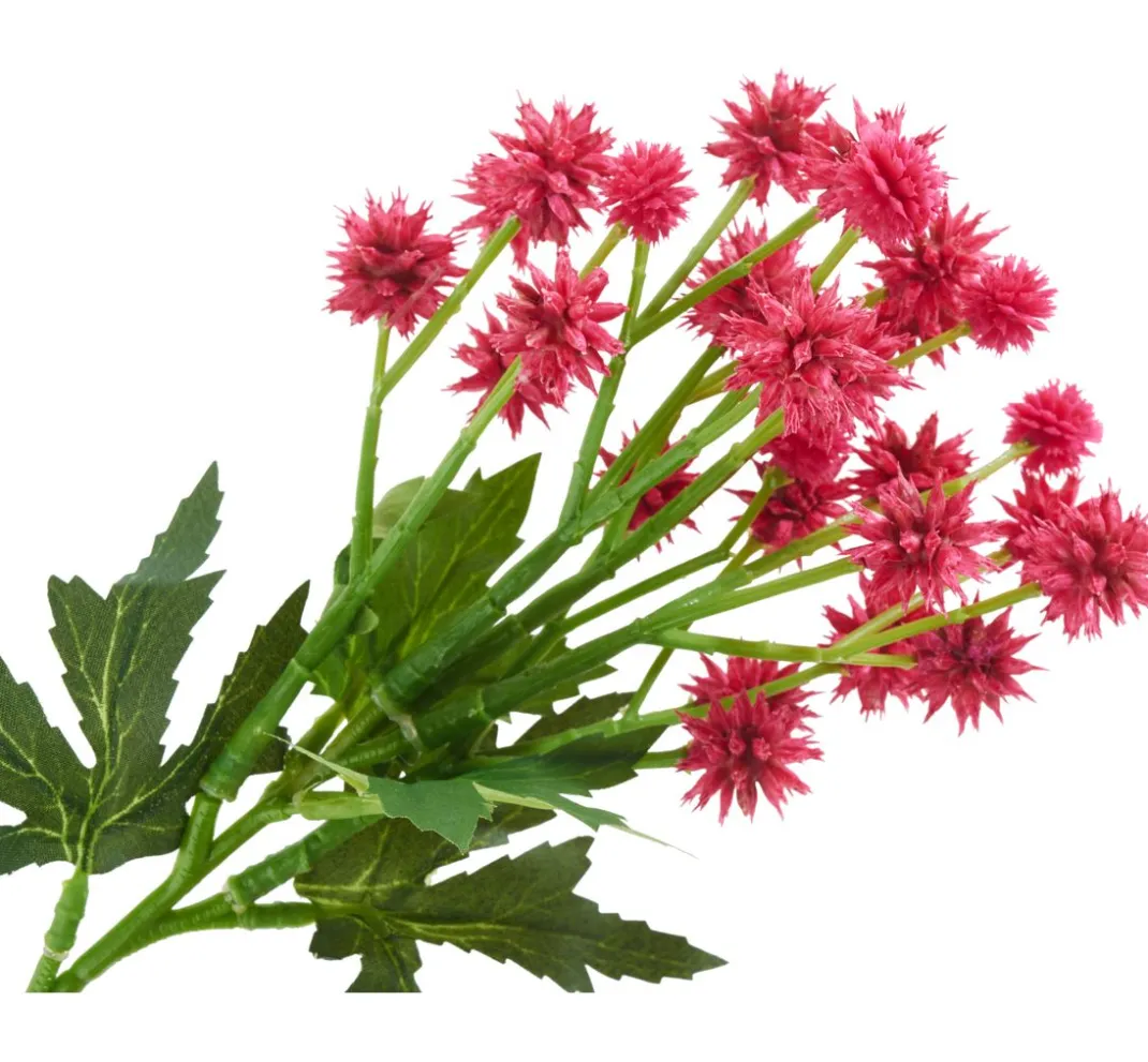 DPI Blumen|Bäume & Zweige>Distel Zweig