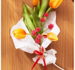 DPI Blumen|Bäume & Zweige><noscript><img width=