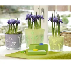 edding Tafelfarbe|Kreidefarbe><noscript><img width=