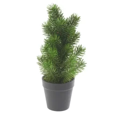 DPI Tanne|Bäume & Zweige>Edeltannenbaum "Rory" im Topf