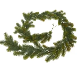 VBS Tanne|Girlanden>Edeltannengirlande "Eitra"