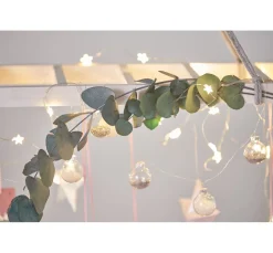 VBS Trockenblumen & - Früchte><noscript><img width=