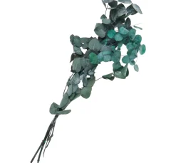 VBS Trockenblumen & - Früchte><noscript><img width=