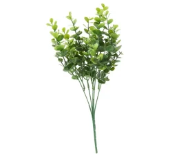 DPI Bäume & Zweige>Eukalyptus Pick "Mia"
