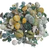 Othmar Decorations Naturmaterialien>Exoten Potpourri