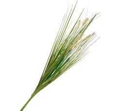 DPI Gräser & Beeren>Gras mit Fruchtstand