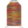 Gütermann creativ Nähgarne & Overlockgarn|Patchwork>Gütermann Nähgarn Miniking Multicolor, No. 120