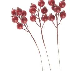 DPI Gräser & Beeren>Hagebutten Bund, Rot