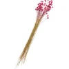 ohne Marke Trockenblumen & - Früchte>Hillflower